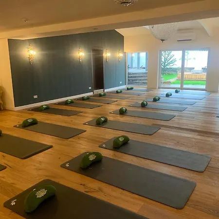 Boutiquehotel Goldhahn Bio Sport & Wellness מלון אאלן