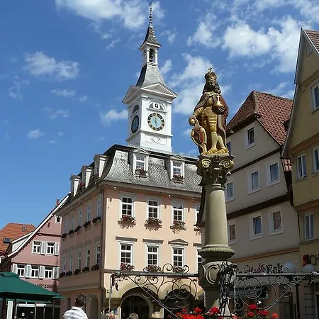 Boutiquehotel Goldhahn Bio Sport & Wellness 3*