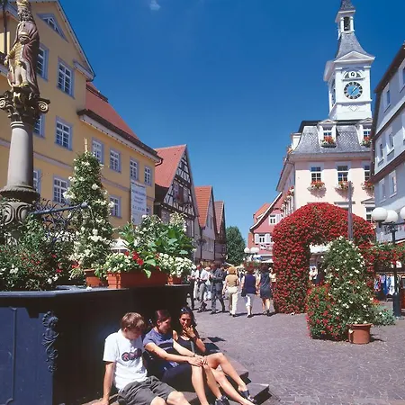 Boutiquehotel Goldhahn Bio Sport & Wellness 酒店