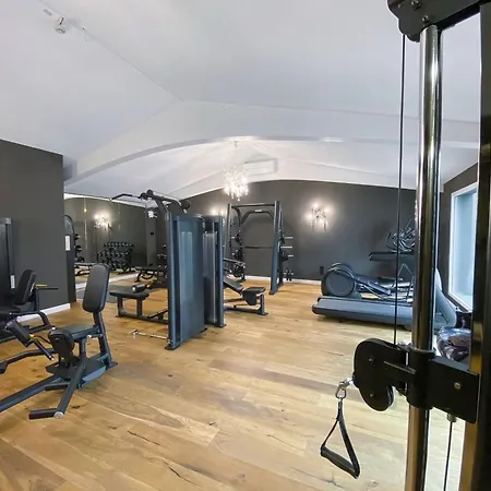 Hotel Boutiquehotel Goldhahn Bio Sport & Wellness 3*