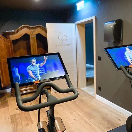 Hotel Boutiquehotel Goldhahn Bio Sport & Wellness 3*