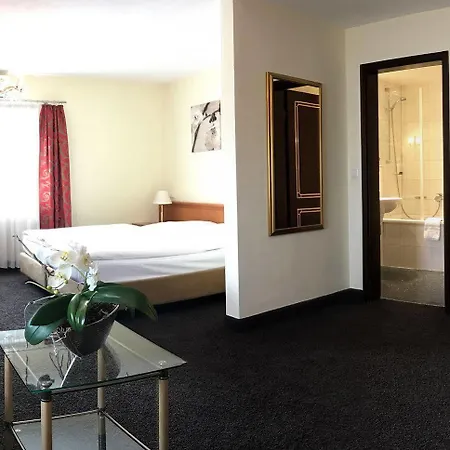 Boutiquehotel Goldhahn Bio Sport & Wellness Hotel Aalen