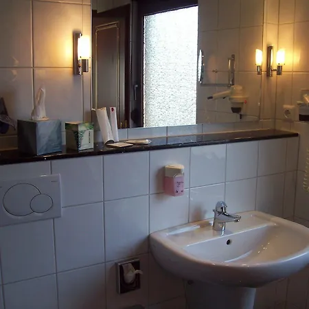 Hotel Boutiquehotel Goldhahn Bio Sport & Wellness 3*